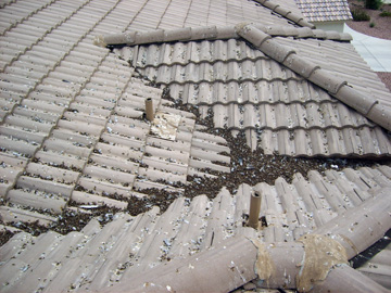 Important to clean and remove pigeon harmful pigeon waste